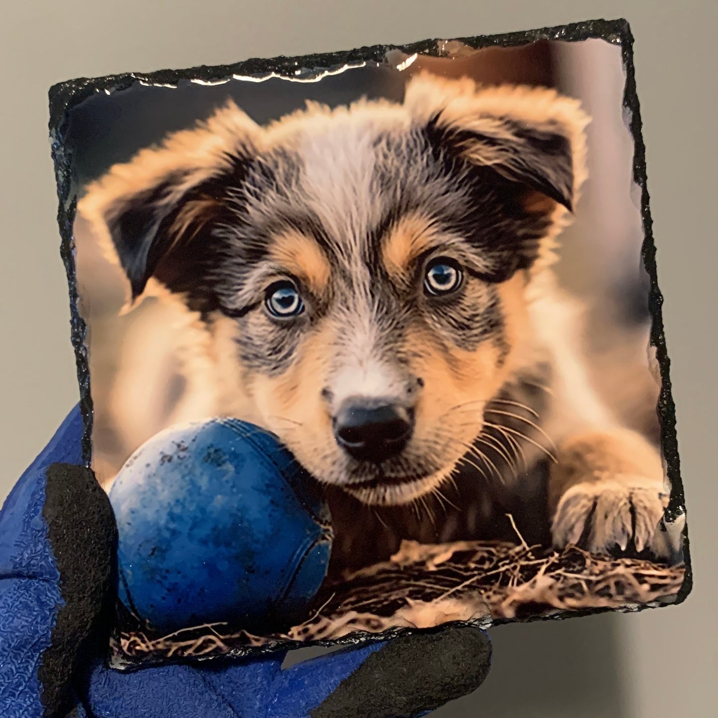 Pet Photo Slate, Any Photo, Gloss 19 x 19 cm