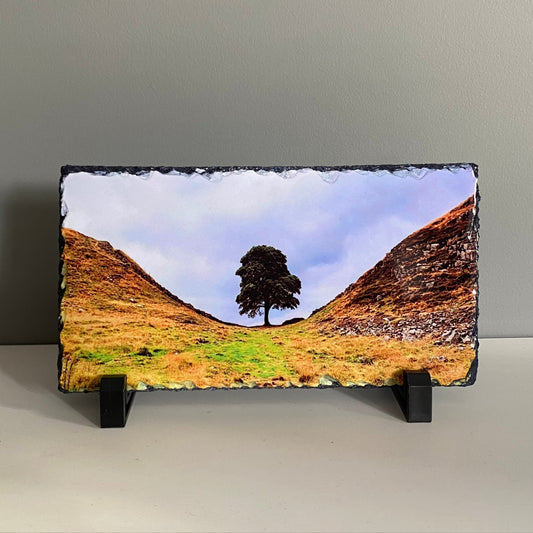 Slate with a scenic landscape of a tree in a valley on a gray background
