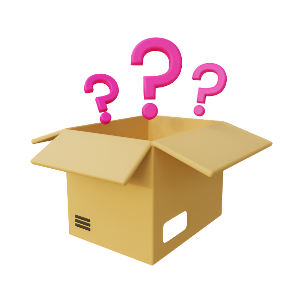 Adult's Mystery Box