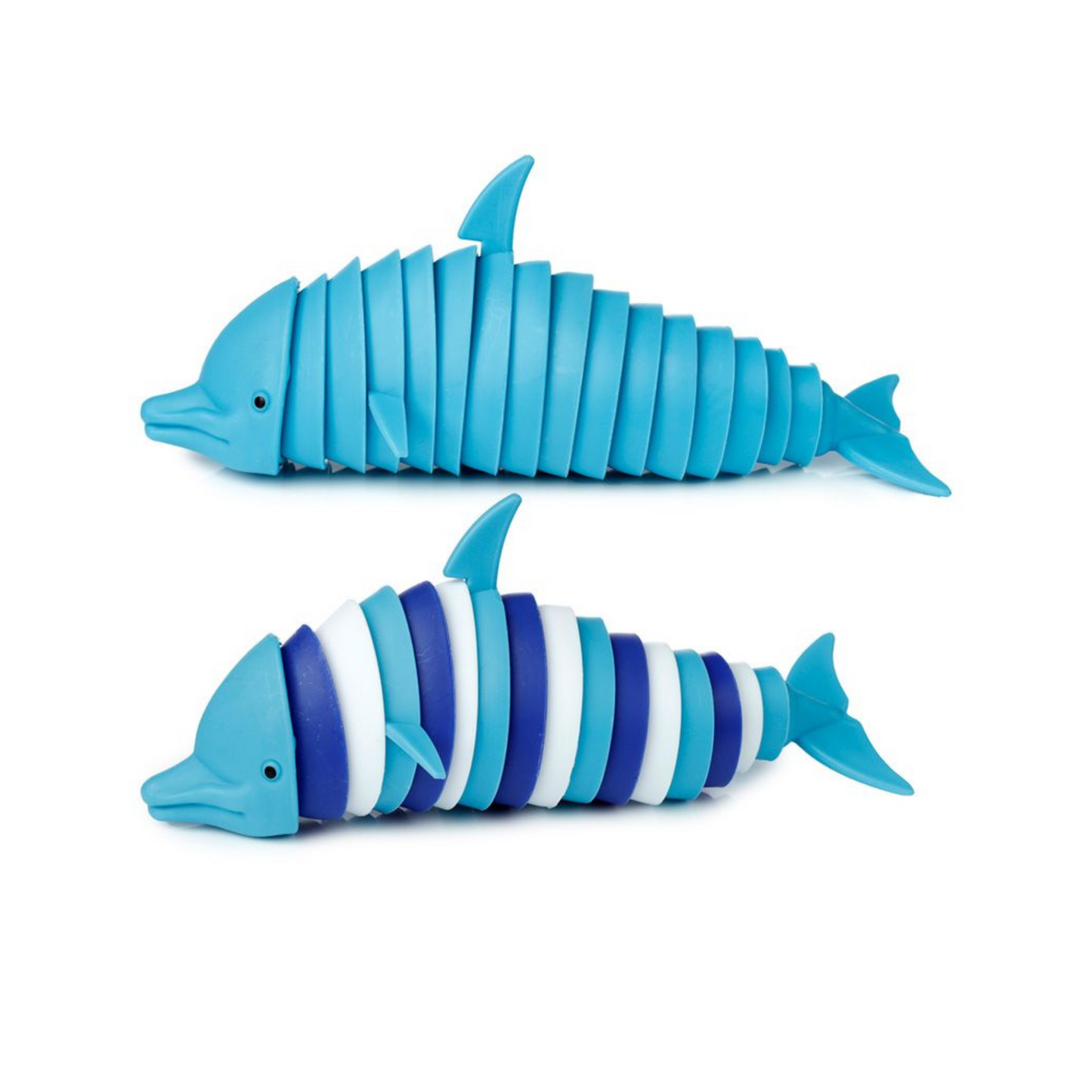 Sensory Fidget Toy - Dolphin